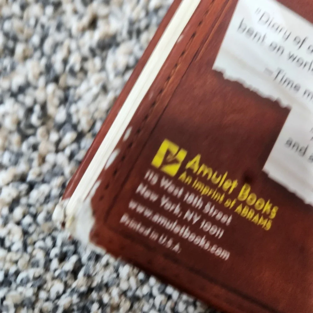 Diary Of A Wimpy Kid Lot Of 2 Dog Days The Third‎ Wheel Children